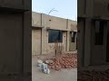 #External plaster completed #