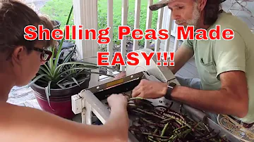 EASY!!! Way to Shell Peas //  Pea Sheller Demonstration
