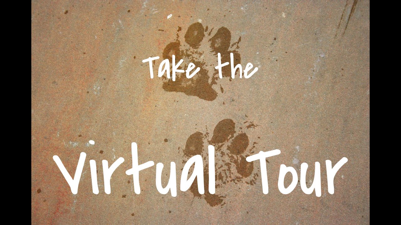 Dixon Kennels Virtual Tour YouTube