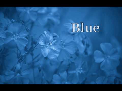 Maria Daines ~ Blue ~ Lyric video