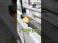 #Huazhou Li Wenzhong #CNC Cutting #EVA Packaging #Custom Corner Guards #Cutting Machine
