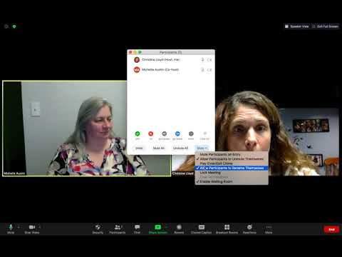 Video How to make a co-host in Zoom - youtube