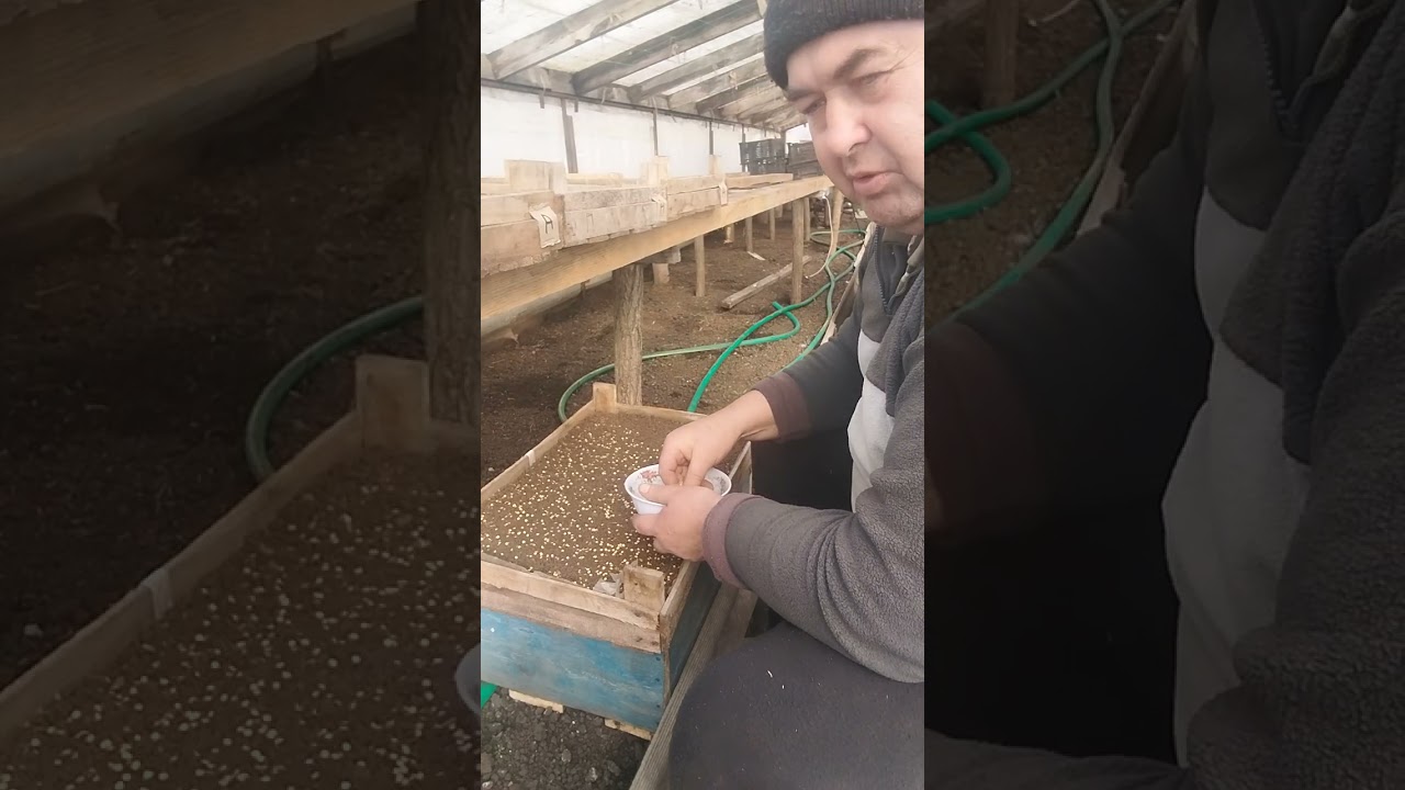 @ І ГАРНО І ДЕШЕВО