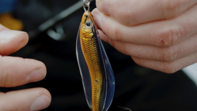 Live Target's Hollow Body Shiner-Has a Belly Pin For More Hooks! 