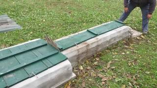 Ch Faruk Vom Rexon Forst