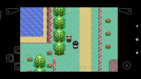 Pokémon Ruby - Route 115