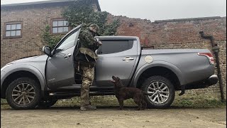 Rough Shooting - A Walk Around The Farm With Rico by Rico The Working Cocker Spaniel 2,920 views 1 year ago 8 minutes, 28 seconds