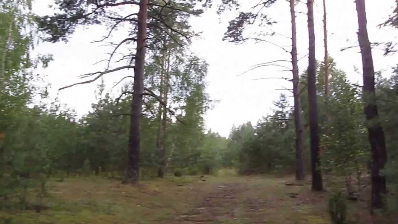 гроза в лесу - YouTube