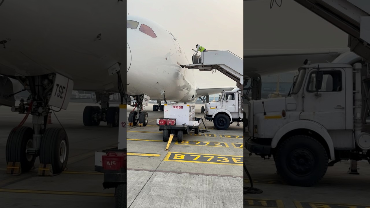 Ferry flight only captain and first officer flying #boeing787 #duoflying #aviation
