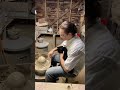 猫だってろくろ回したい！邪魔してるのか、監督してるのか... #ねこのいる生活 #ネルソン監督 #猫