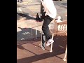 🌁 Blake Carpenter kickflip crooks in the city 🏙️