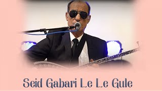 Seid Gabari - Le Le Gule Uzun Hava Mewal Lawık Dengbeji Resimi