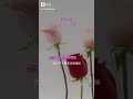 Cai Qin 蔡琴 - 不了情 (covered by Mei Si Hong 梅思虹翻唱)