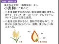 授業紹介（食品製造学）