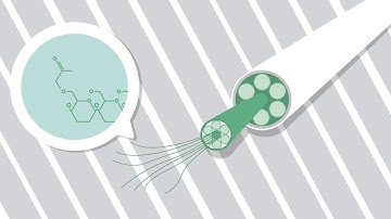 INNPAPER: Electronics printed on paper for a greener future