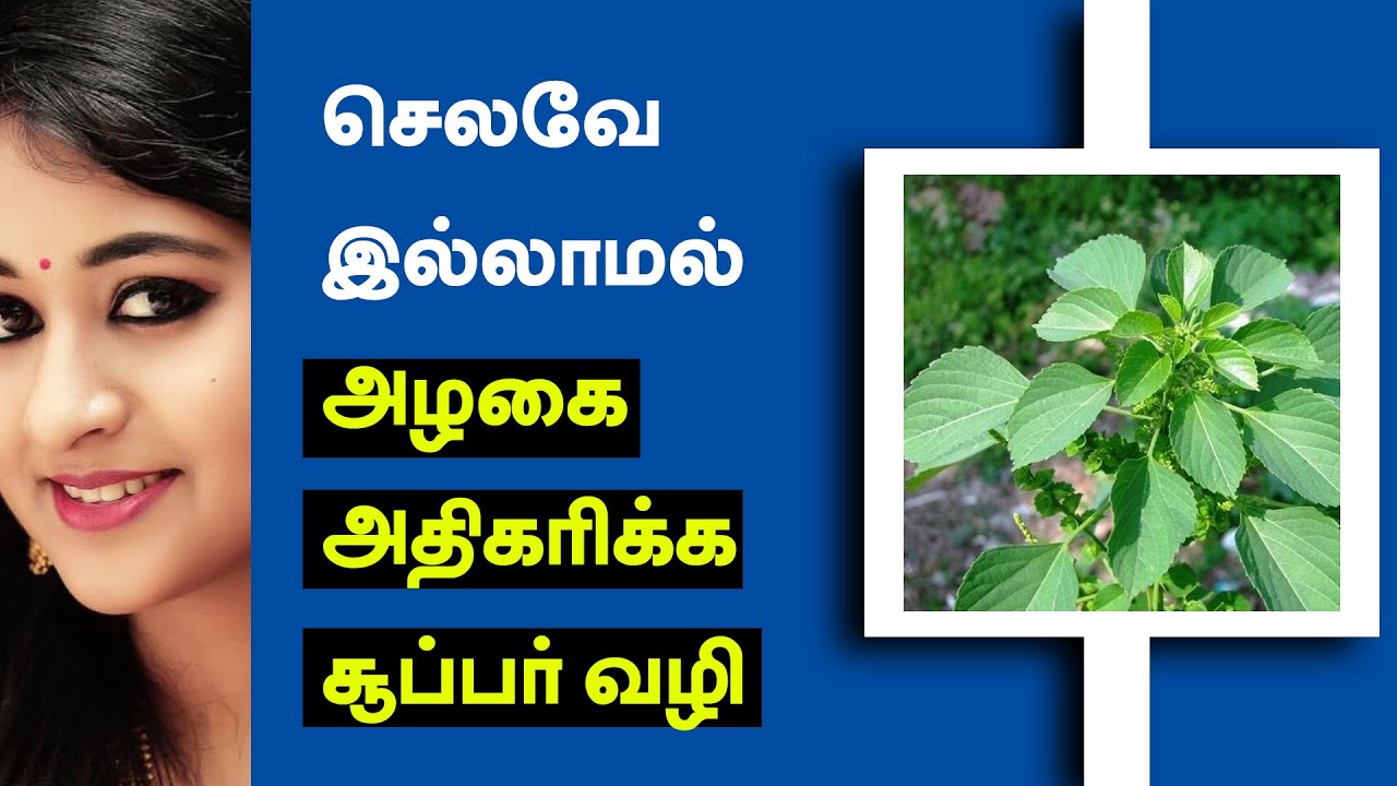 Beauty Tips in Tamil How to use Kuppaimeni For Skin Tamil Beauty