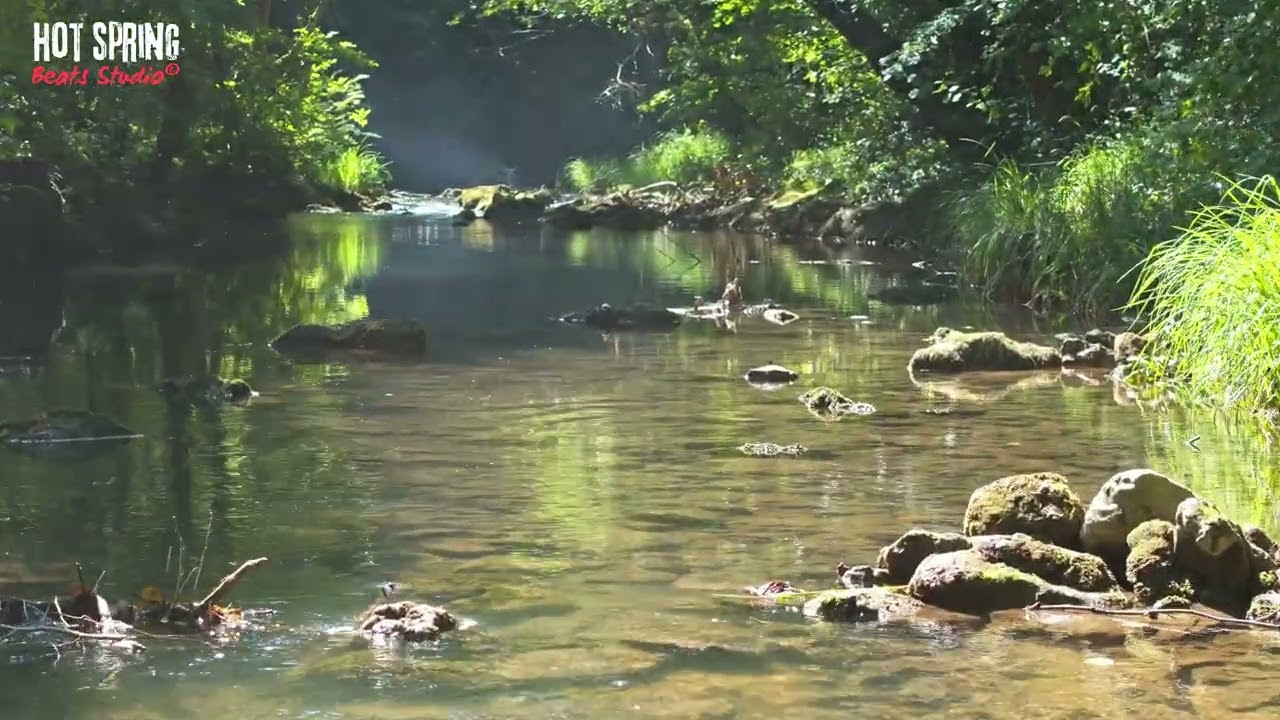 Son a riviè la - Hot Spring Beats