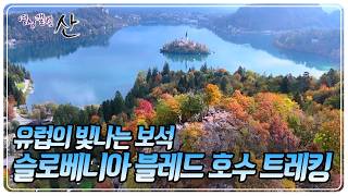 Slovenia's Lake Bled: The Mystical 'Blue Eye of the Alps' Trek [Video Album Mountain] KBS Broadca...