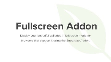 Envira Gallery Fullscreen Addon