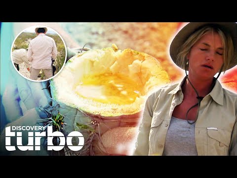 He Made His Wife DRINK HIS OWN PEE To Survive In A Mexican Desert | Man Woman Wild