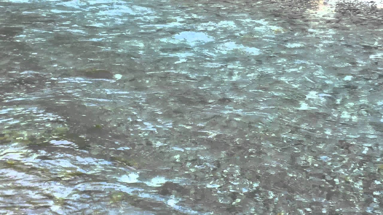 滋賀県 河内の風穴沿いにあるめっちゃ きれいな川 動画あり ひょっこりlife