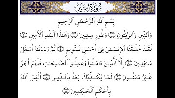 سورة التين احمد العجمي