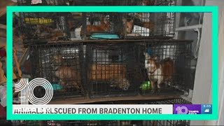 14 dogs, 2 birds rescued from Bradenton home