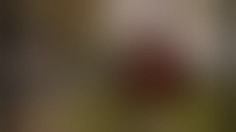 XCOM 2 Modded Gameplay Part 3 [Shen