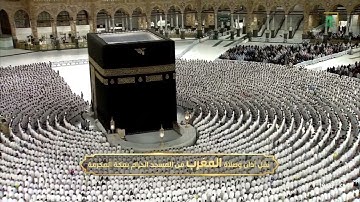 سورة إبراهيم من صلاة المغرب 14 ذو القعدة 1446هـ فضيلة الشيخ د. الوليد الشمسان حفظه الله