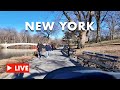 Nyc live  leap day stroll in central park feb 29 2024