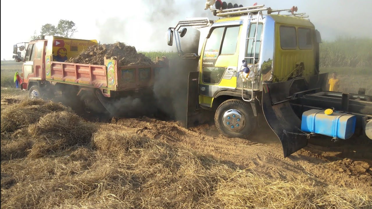 แบบนี้อันตราย!! ร็อกกี้ลากน้องมะนาว