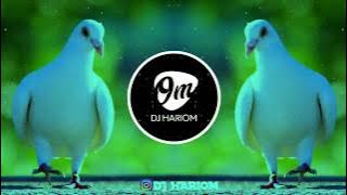 KABUTAR JA JA - DJ VRV || DJ HARIOM ||