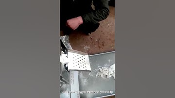 Video of Automatic Dumpling Making Machine