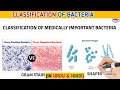 Classification of medically important bacteria on the basis of gram stain &amp; shapes.