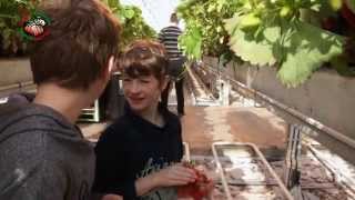 Bedrijfsfilm Brookberries
