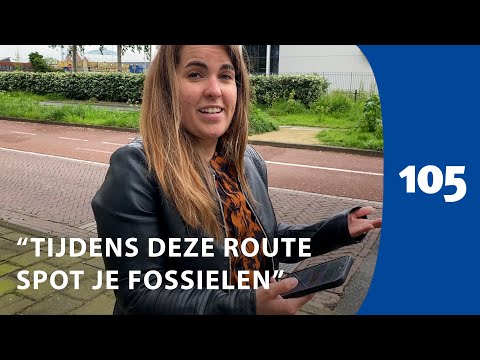 Nieuwe wandeling van de Eco Expeditie in Oost: “Zo spot je fossielen in Haarlem” 