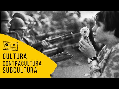 O que é cultura, contracultura e subcultura?