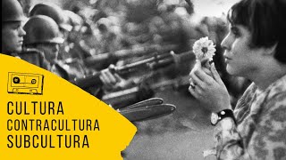 O que é cultura, contracultura e subcultura?