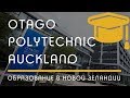 ПОЛИТЕХНИКИ: Otago Polytechnic, город Auckland, отзыв выпускника