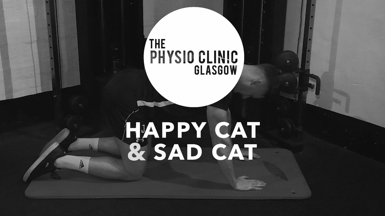 Rehab Library, Volume 1: Happy Cat Sad Cat