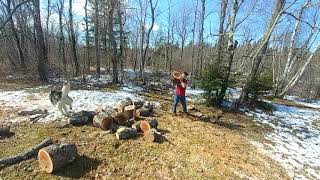 Nor'easter cleanup progress. LOL