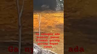 ada monster dibawah gorong gorong depan rumah........