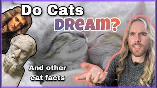 Do Cats Dream? Do Cats Have Elbows? 10 Surprising Facts about Cats