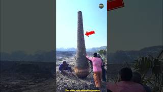 ancient boat tree making | #shorts