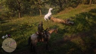 Red Dead Redemption 2 having fun with nature