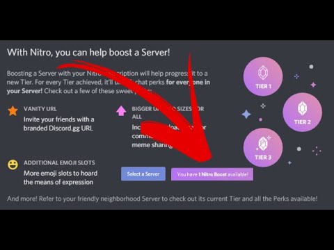 Fun fact: the server with the most boosts is the Discord Testers server :  r/discordapp