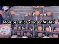 Asmr  mon tout premier vlog baladepiqueniquecuisine