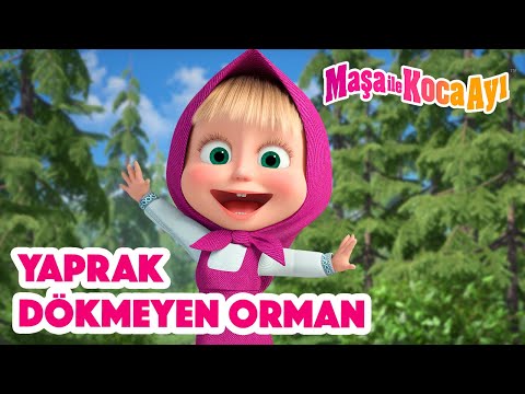 Maşa İle Koca Ayı - 🌳 Yaprak dökmeyen orman 🌲🏞️ Masha and the Bear Turkey