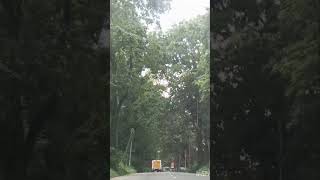 peaceful and relaxing #youtubeshorts #travel #trending #vlog #foryou
