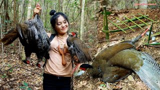 สาวดอย Hunting creative amazing traps for catching pheasant in jungle